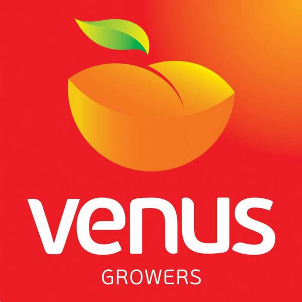 VENUS